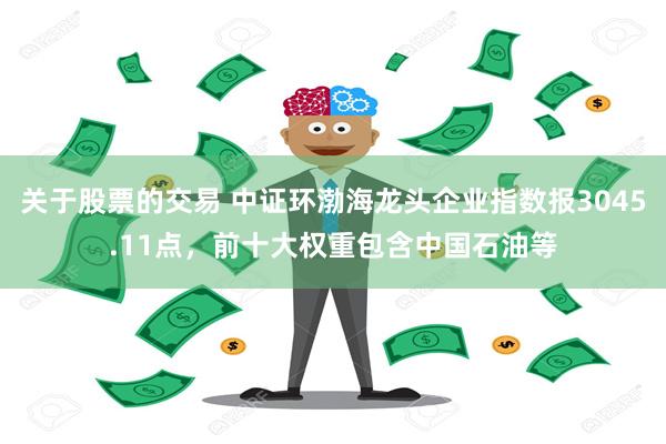 关于股票的交易 中证环渤海龙头企业指数报3045.11点，前十大权重包含中国石油等