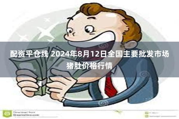 配资平仓线 2024年8月12日全国主要批发市场猪肚价格行情