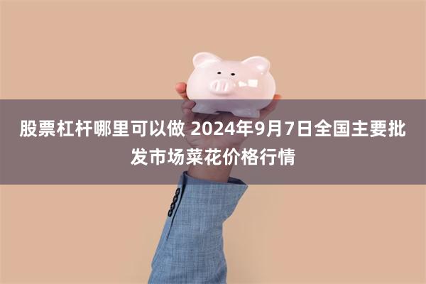 股票杠杆哪里可以做 2024年9月7日全国主要批发市场菜花价格行情