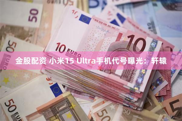 金股配资 小米15 Ultra手机代号曝光：轩辕