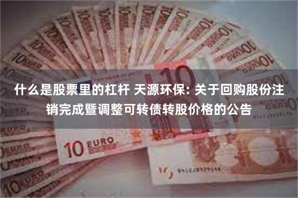 什么是股票里的杠杆 天源环保: 关于回购股份注销完成暨调整可转债转股价格的公告