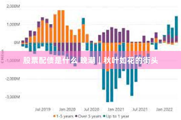 股票配债是什么 晚潮｜秋叶如花的街头