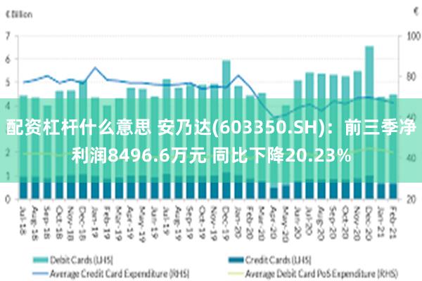 配资杠杆什么意思 安乃达(603350.SH)：前三季净利润8496.6万元 同比下降20.23%