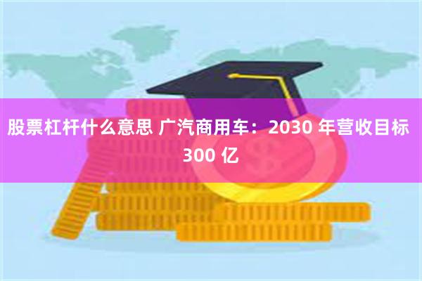 股票杠杆什么意思 广汽商用车：2030 年营收目标 300 亿