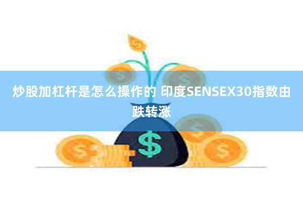 炒股加杠杆是怎么操作的 印度SENSEX30指数由跌转涨