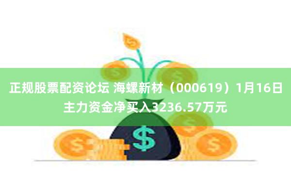 正规股票配资论坛 海螺新材（000619）1月16日主力资金净买入3236.57万元