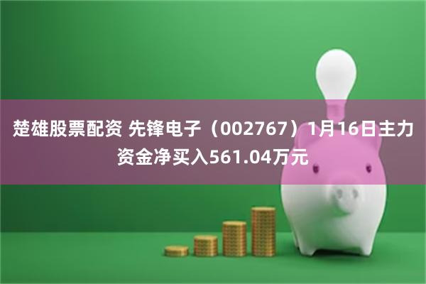 楚雄股票配资 先锋电子（002767）1月16日主力资金净买入561.04万元