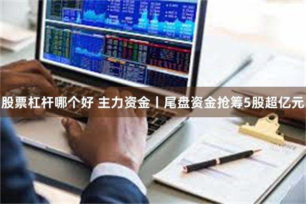 股票杠杆哪个好 主力资金丨尾盘资金抢筹5股超亿元