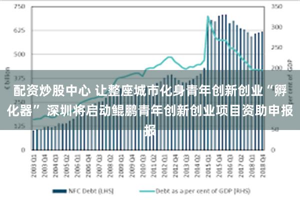 配资炒股中心 让整座城市化身青年创新创业“孵化器” 深圳将启动鲲鹏青年创新创业项目资助申报